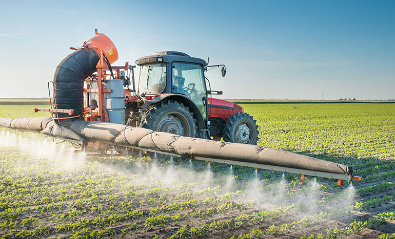 Winter Wheat Harvest Gathering Momentum