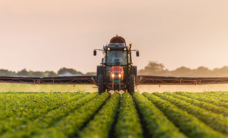 Winter Wheat Harvest Gathering Momentum