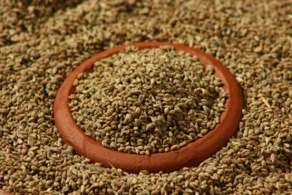 Caraway Seeds (Ajwain)